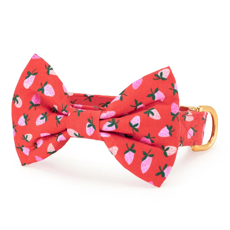 Berry Sweet Bow Tie Collar