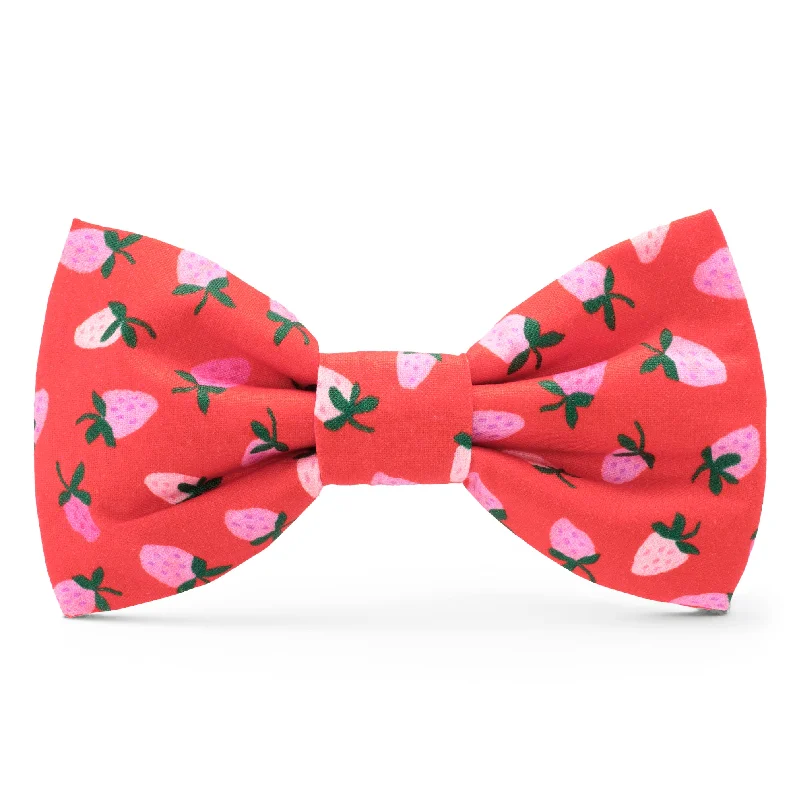 Berry Sweet Dog Bow Tie