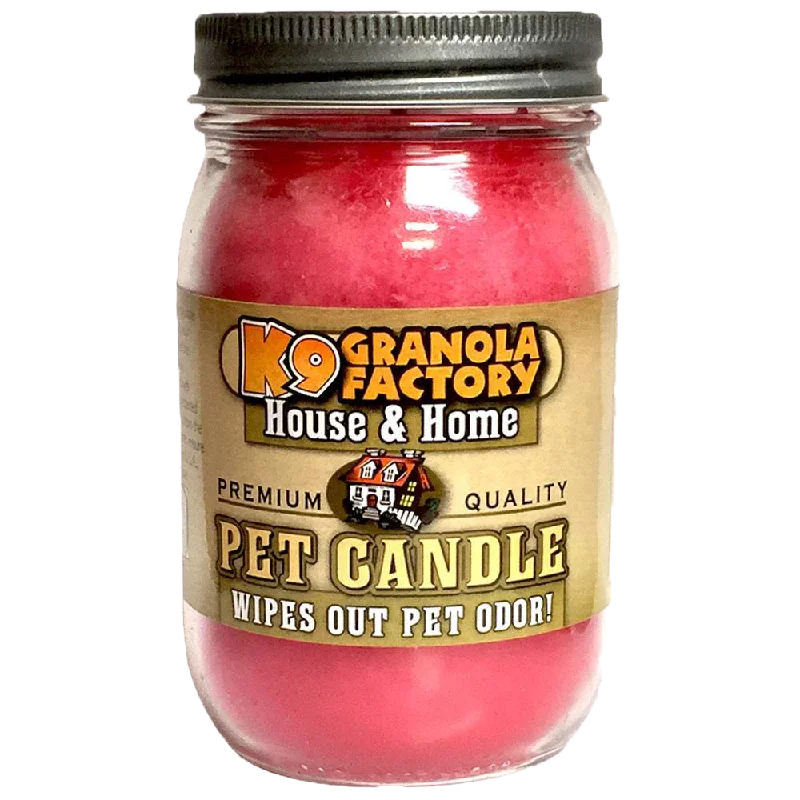 K9 Granola Factory Odor Eliminator Candle, Angels in The Air