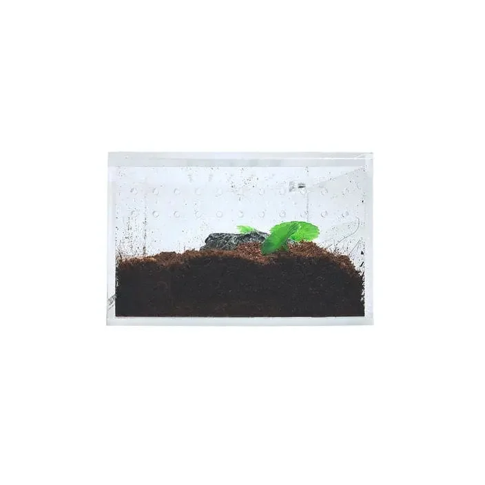 Acrylic Enclosure Mini Flat Reptile Breeding Box Terrarium Cage for Sling Isopods Invertebrates &