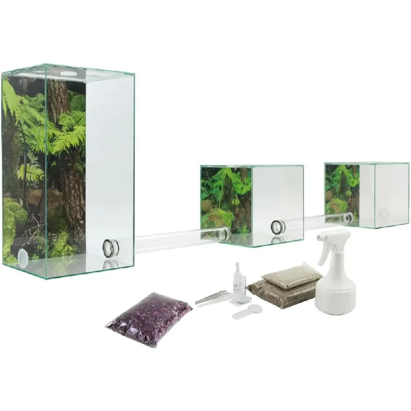 ANTCUBE – Starter Set for Leaf Cutter ants – Large