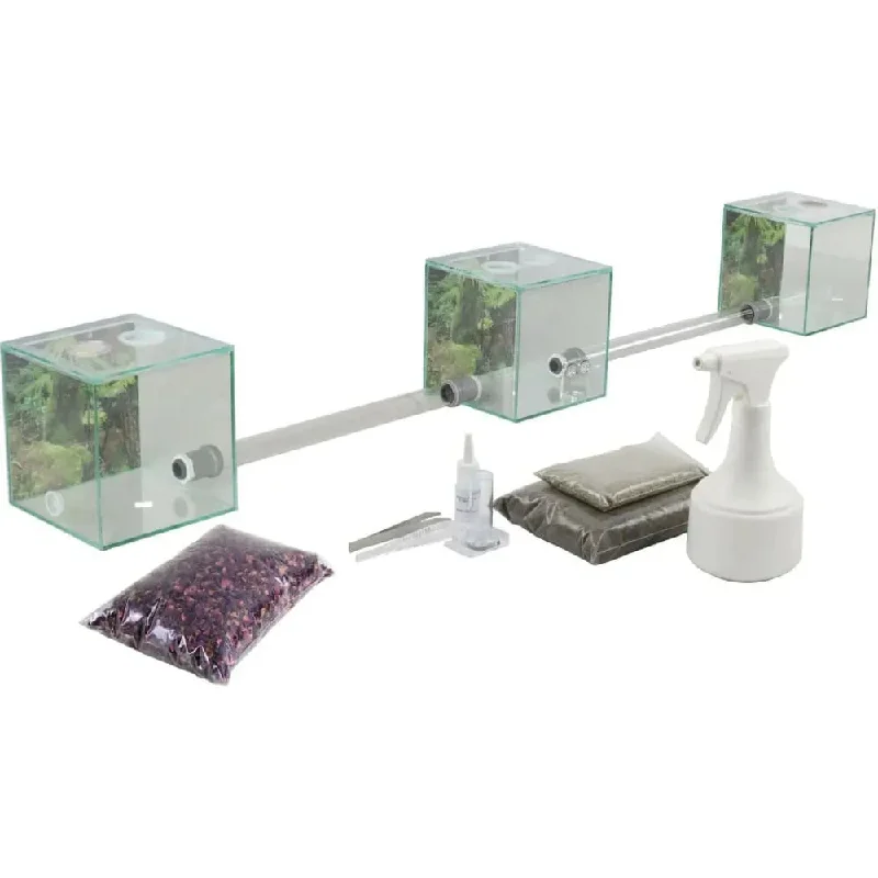 ANTCUBE – Starter set for leaf cutter ants – small