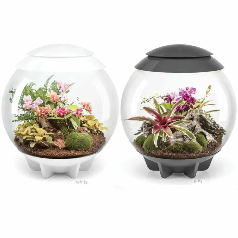 biOrb AIR 30 LED Terrarium