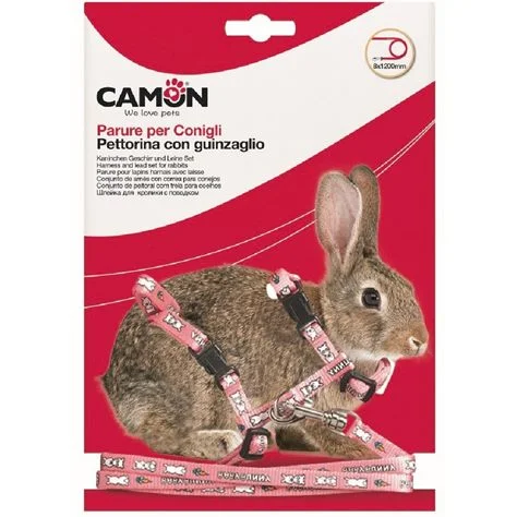 CAMON Ham i vodilica za kuniće Baby Bunny 8x1200 mm, razne boje