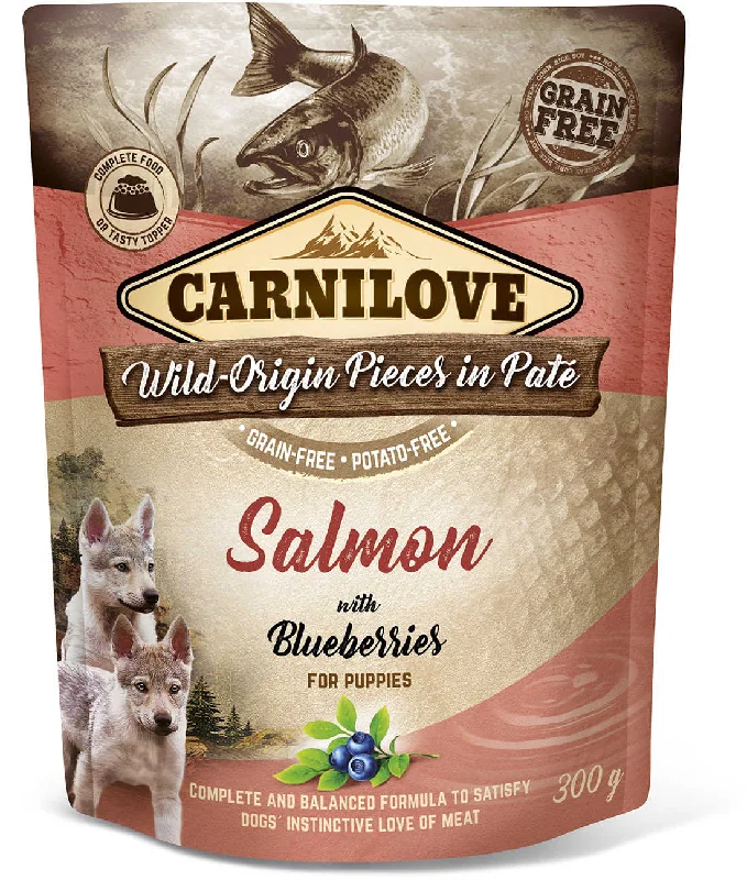 CARNILOVE Plic pentru PUPPY, Pate cu Somon şi afine 300g