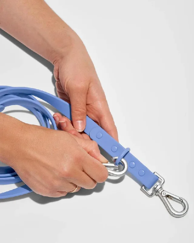 Durable Dog Leash in Moonstone (FINAL SALE)