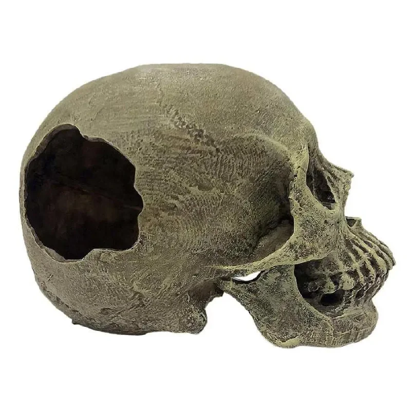 Komodo Full Human Skull Reptile Hideout Full Human Skull Gray One Size