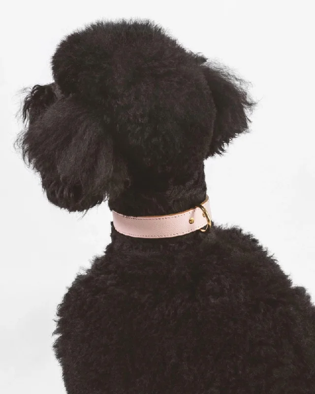 Moni Dog Collar in Blush Pink Leather (Made in Italy) (FINAL SALE)