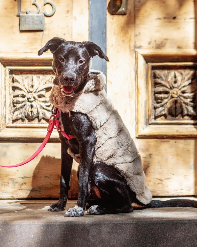 Faux Fur Dog Coat in Beige (FINAL SALE)